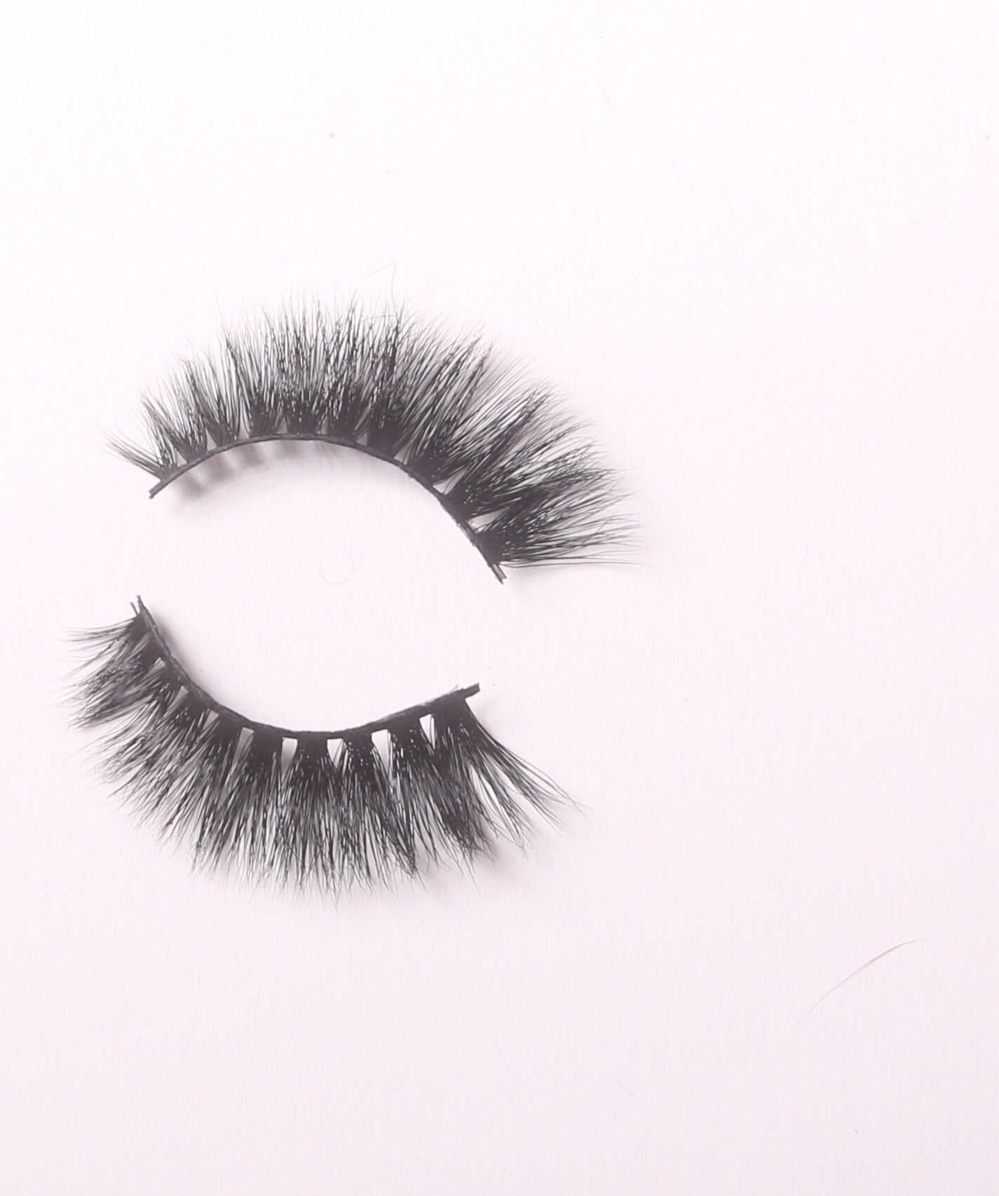 Roxbury  3D M. Lash