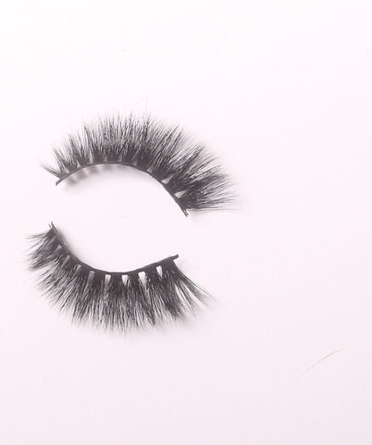 Roxbury  3D M. Lash